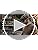 91miaczrivl.sx38 sy50 cr003850 pkmb play button overlay thumb .jpg TOP-EX Merino Wool Tweed Newsboy Cap for Men Warm Winter Hat