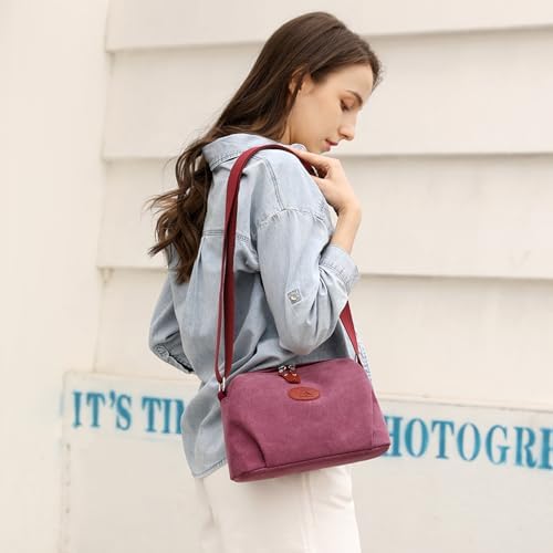 Sunshinejing Lightweight Crossbody Bag for Women | Casual Purses for Daily Travel | Small Canvas Bag with Adjustable Str