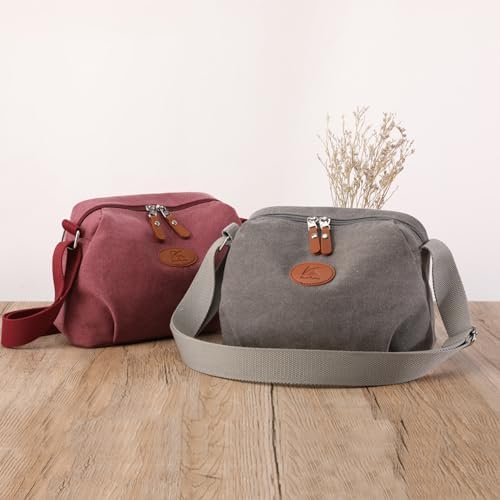 Sunshinejing Lightweight Crossbody Bag for Women | Casual Purses for Daily Travel | Small Canvas Bag with Adjustable Str