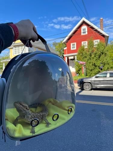 Bearded Dragon Travel Backpack with Harness and Leash Set Airline Approved Bearded Dragon Lizard Backpack Travel Carrier