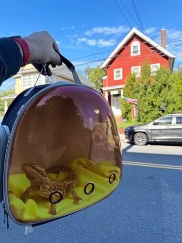 Bearded Dragon Travel Backpack with Harness and Leash Set Airline Approved Bearded Dragon Lizard Backpack Travel Carrier