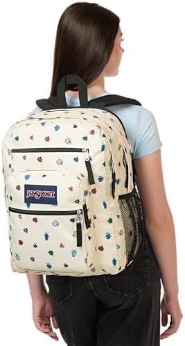 JanSport Laptop Backpack - Business Professional, Comfortable, Travel, 15" Laptop, 2 Compartments, Black