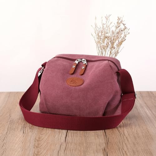 Sunshinejing Lightweight Crossbody Bag for Women | Casual Purses for Daily Travel | Small Canvas Bag with Adjustable Str