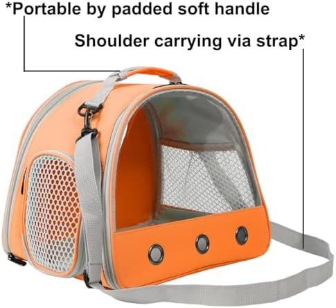 Bearded Dragon Travel Backpack with Harness and Leash Set Airline Approved Bearded Dragon Lizard Backpack Travel Carrier