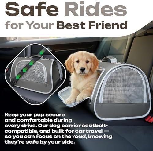 Airline Approved Small Pet Carrier for Cats and Rabbits, Lightweight & Ventilated Dog Carrier, Soft-Sided & Foldable (Up