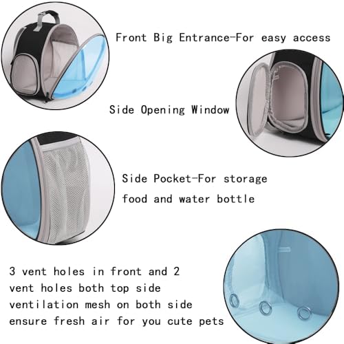 Bearded Dragon Travel Backpack with Harness and Leash Set Airline Approved Bearded Dragon Lizard Backpack Travel Carrier