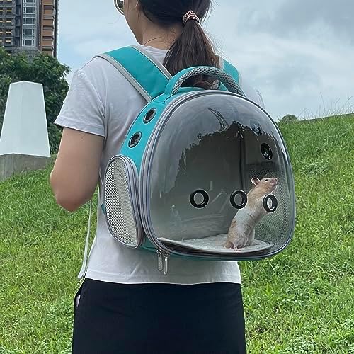 Portable travel pet backpack carrier (Accessories+Black)
Portable travel pet carrier for hamster bag guinea pig bird s - Image 21