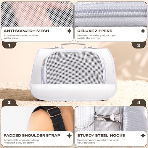 Airline Approved Small Pet Carrier for Cats and Rabbits, Lightweight & Ventilated Dog Carrier, Soft-Sided & Foldable (Up
