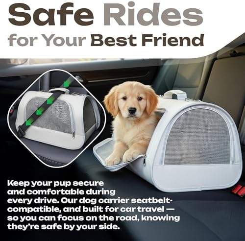 Airline Approved Small Pet Carrier for Cats and Rabbits, Lightweight & Ventilated Dog Carrier, Soft-Sided & Foldable (Up