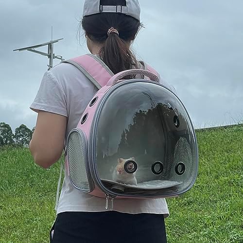 Portable travel pet backpack carrier (Accessories+Black)
Portable travel pet carrier for hamster bag guinea pig bird s - Image 15