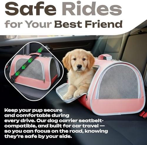 Airline Approved Small Pet Carrier for Cats and Rabbits, Lightweight & Ventilated Dog Carrier, Soft-Sided & Foldable (Up