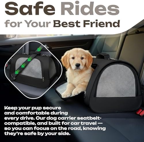 Airline Approved Small Pet Carrier for Cats and Rabbits, Lightweight & Ventilated Dog Carrier, Soft-Sided & Foldable (Up