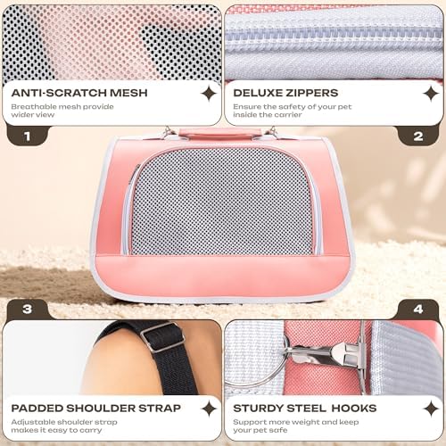 Airline Approved Small Pet Carrier for Cats and Rabbits, Lightweight & Ventilated Dog Carrier, Soft-Sided & Foldable (Up