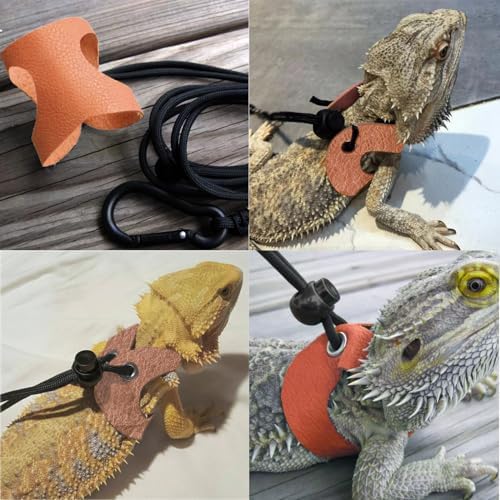 Bearded Dragon Travel Backpack with Harness and Leash Set Airline Approved Bearded Dragon Lizard Backpack Travel Carrier