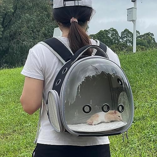 Portable travel pet backpack carrier (Accessories+Black)
Portable travel pet carrier for hamster bag guinea pig bird s - Image 35