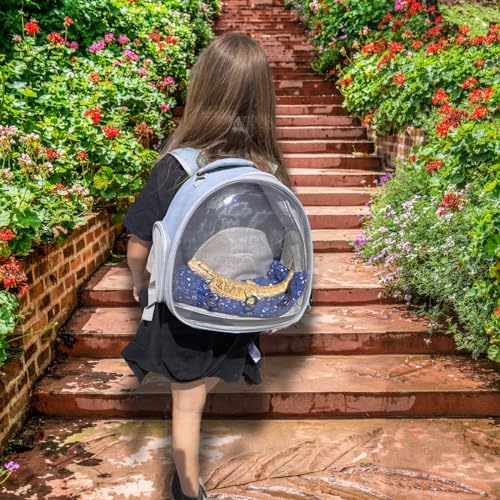 Bearded Dragon Travel Backpack with Harness and Leash Set Airline Approved Bearded Dragon Lizard Backpack Travel Carrier
