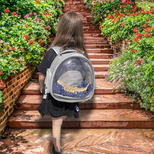 Bearded Dragon Travel Backpack with Harness and Leash Set Airline Approved Bearded Dragon Lizard Backpack Travel Carrier