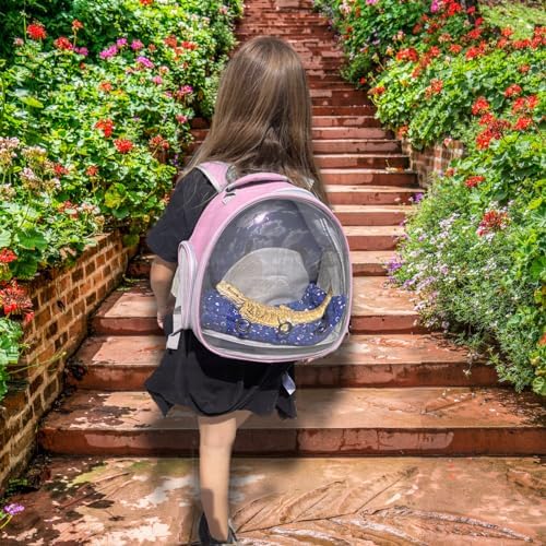 Bearded Dragon Travel Backpack with Harness and Leash Set Airline Approved Bearded Dragon Lizard Backpack Travel Carrier