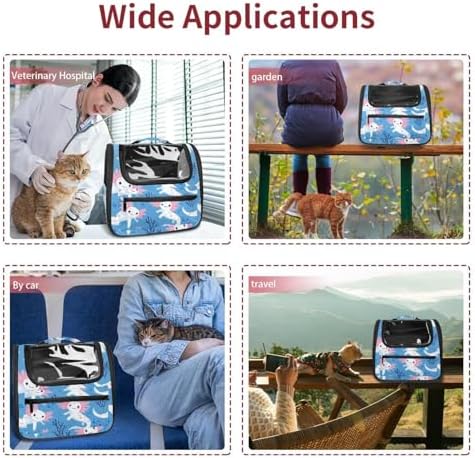 Capybara Pet Soft Sided Travel Carrier for Cats and Puppies, Portable and Comfortable, Perfect for Airlines and Car Trip