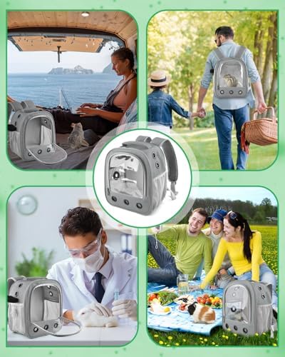 Portable Guinea Pig Carrier Backpack for Pet Bunny Chinchilla Outgoing with Water Bottle Holder & Detachable Pad (Pink)